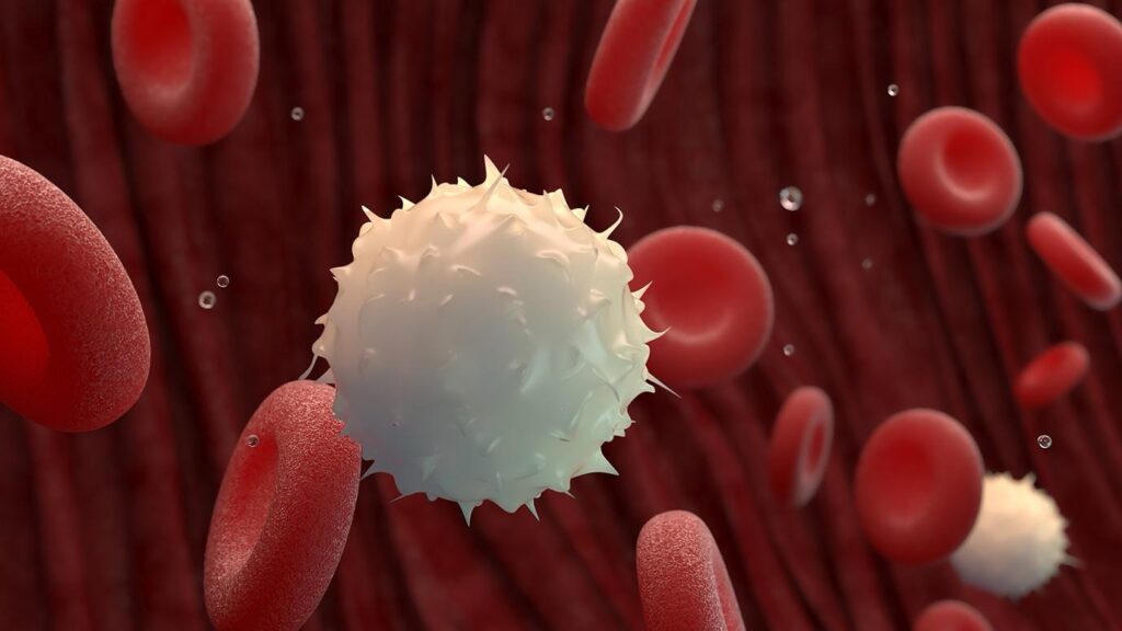 ‘Inverse vaccines’: the promise of a ‘holy grail’ treatment for autoimmune diseases 3 img 2613 1